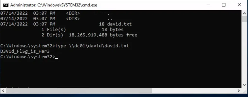 What information is contained in david.txt